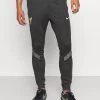 Nike Performance Herren LIVERPOOL FC PANT - Jogginghose - Anthracite/smoke Grey/chrome Yellow