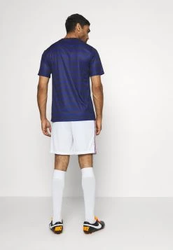 Nike Performance Herren FRANKREICH FFF SHORT - Kurze Sporthose - White/concord -Angebote Nike Store 862c2e90ed3c4a94ba8c645bae823abc