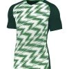 Nike Performance Herren Sport T-shirt - Gruenweiss