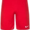 Nike Performance HERREN - Kurze Sporthose - Multicolor