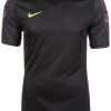 Nike Performance GARDIEN II TORWARTTRIKOT - Torwarttrikot - Black | Herren