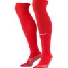 Nike Performance Herren NATIONAL RB LEIPZIG STUTZE - Kniestrümpfe - Rotweiss