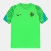 Nike Performance INTER MAILAND UNISEX - Vereinsmannschaften - Green Strike/chlorine Blue/black