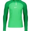 Nike Performance Herren TEAMSPORT - Sweatshirt - Gruenweiss