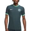 Nike Performance Herren Nationalmannschaft - Seaweed / White