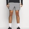 Nike Performance Herren STRIDE - Kurze Sporthose - Iron Grey/heather/reflective Silver