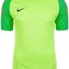 Nike Performance Herren GARDIEN II TORWARTTRIKOT - Torwarttrikot - Light Green