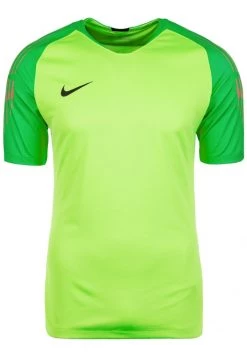 Nike Performance Herren GARDIEN II TORWARTTRIKOT - Torwarttrikot - Light Green