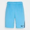 Nike Performance Herren SHORTS - Kurze Sporthose - Coast/obsidian/black