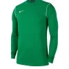 Nike Performance PARK 20 DRY CREW - Langarmshirt - Gruen | Unisex