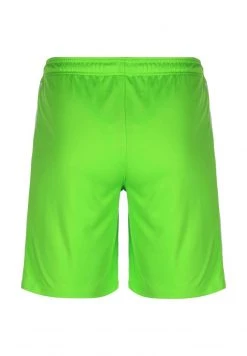 Nike Performance VFL WOLFSBURG HOME STADIUM 2021/2022 - Kurze Sporthose - Sub Lime / White | Herren -Angebote Nike Store a7368d363c954a44be33326546bb8872