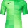 Nike Performance Herren FUSSBALL TEAMSPORT TORWART PARK TW - T-Shirt Print - Gruen