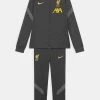 Nike Performance Unisex LIVERPOOL FC - Vereinsmannschaften - Anthracite/smoke Grey/chrome Yellow