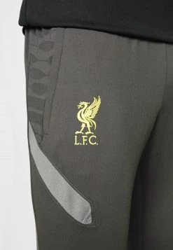 Nike Performance Herren LIVERPOOL FC - Tights - Anthracite/smoke Grey/chrome Yellow -Angebote Nike Store b4c5895364c749fd9c2ac0f42605398b
