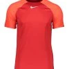 Nike Performance Herren FUSSBALL ACADEMY - T-Shirt Print - Rot