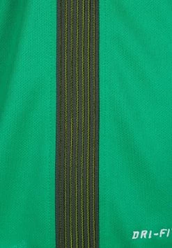 Nike Performance Unisex GARDIEN - Torwarttrikot - Green -Angebote Nike Store b85a0b9d1bd24fc38b41404427a32960