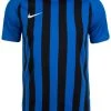 Nike Performance Herren STRIPED DIVISION III - Sport T-shirt - Multicolor