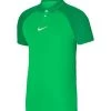 Nike Performance Herren FUSSBALL - Poloshirt - Gruenweiss
