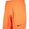 Nike Performance Herren FUSSBALL - TEAMSPORT TEXTIL - TORWARTHOSEN PARK TORWART SHORT - Shorts - Orange