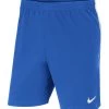 Nike Performance Herren Kurze Sporthose - Blauweiss