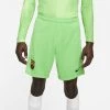 Nike Performance Herren FCB MNK DF STADIUM GK - Kurze Sporthose - Gruen