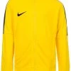 Nike Performance Unisex DRY ACADEMY 18 - Trainingsjacke - Yellow