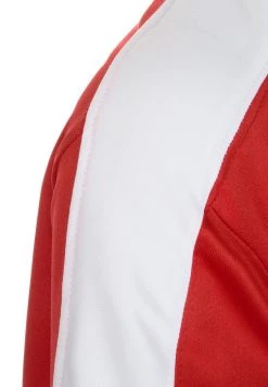 Nike Performance Unisex STRIKER - T-Shirt Print - Multicolor -Angebote Nike Store c56b9be283234e0a89b5c18d2c656241