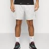 Nike Performance Herren Kurze Sporthose - Grey Fog/mint Foam/black