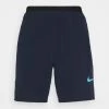 Nike Performance FLEX SHORT 2.0 - Kurze Sporthose - Obsidian/coast | Herren