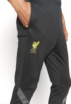 Nike Performance Herren LIVERPOOL FC PANT - Jogginghose - Anthracite/smoke Grey/chrome Yellow -Angebote Nike Store cd017404857d457a978a3c74aec8dd96
