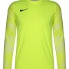 Nike Performance PARK IV TORWARTLONGSLEEVE HERREN - Langarmshirt - Green