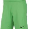 Nike Performance Herren TOTTENHAM HOTSPUR - Shorts - Green Spark Black