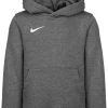 Nike Performance KAPUZENSWEATS FLC PARK20 PO - Kapuzenpullover - Charcoal Heater White | Unisex