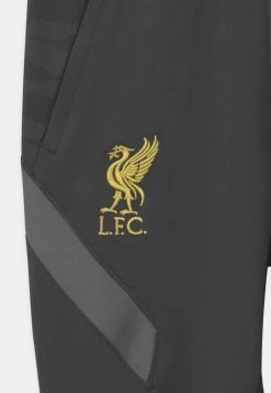 Nike Performance LIVERPOOL FC PANT UNISEX - Vereinsmannschaften - Anthracite/smoke Grey/chrome Yellow -Angebote Nike Store de12d2c4620e474aaf1584e60e2b5a17