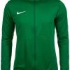 Nike Performance Herren DRY PARK 18 - Trainingsjacke - Green
