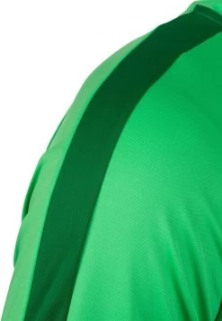Nike Performance ACADEMY 18 - Trainingsjacke - Green | Herren -Angebote Nike Store e4b90c7d9d254c7a8712cc893e447496