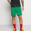 Nike Performance Herren PORTUGAL SHORT - Kurze Sporthose - Pine Green/metallic Gold