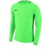 Nike Performance Herren DRY PARK - Torwarttrikot - Gruen/schwarz