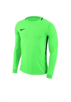 Nike Performance Herren DRY PARK - Torwarttrikot - Gruen/schwarz
