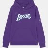 Nike Performance NBA LOS ANGELES LAKERS ESSENTIAL UNISEX - Vereinsmannschaften - Court Purple