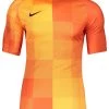 Nike Performance Herren FUSSBALL TEAMSPORT TORWART PARK TW - T-Shirt Print - Orange