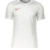 Nike Performance TRIKOTS GRAPHICS - T-Shirt Print - Grauweiss | Herren