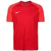 Nike Performance Herren STRIKE II - Sport T-shirt - University Red / Bright Crimson / White