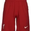 Nike Performance Herren Kurze Sporthose - Gym Red/white