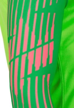 Nike Performance Herren GARDIEN II - Torwarttrikot - Light Green 5 Nike Performance Herren GARDIEN II - Torwarttrikot - Light Green -Angebote Nike Store f2ef03e4a9fb480f943507ac289f6c65